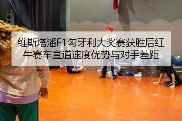 维斯塔潘F1匈牙利大奖赛获胜后红牛赛车直道速度优势与对手差距